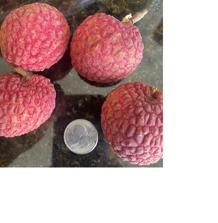 Emperor Lychees