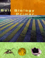 Cover of Soil Biology Primer as published by SWCS